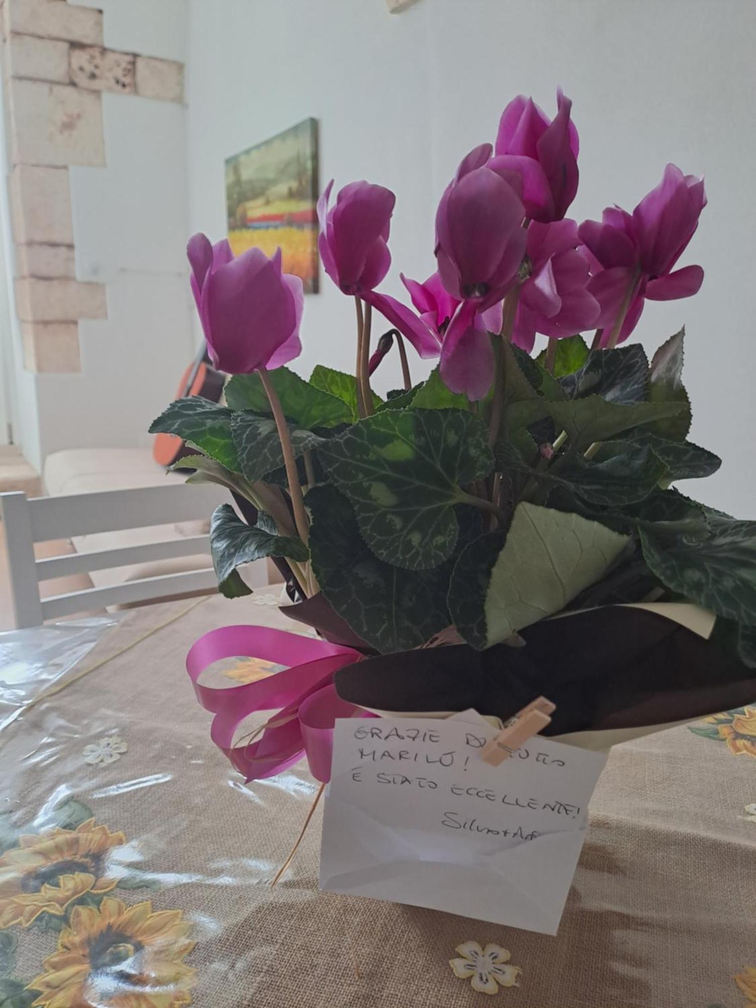 A Levante Putignano Zewnętrze zdjęcie